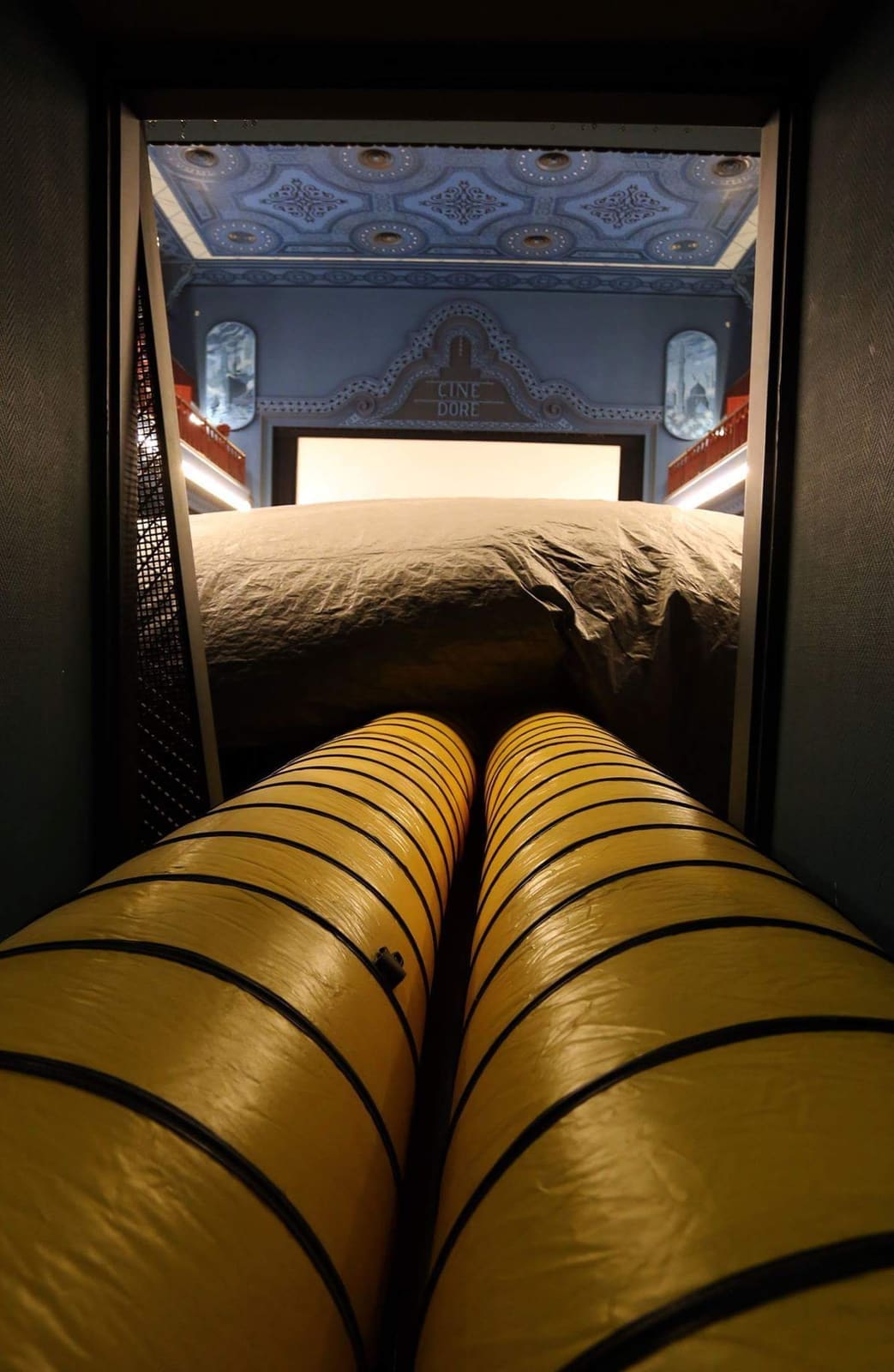 Bed bug treatment in a commercial theatre