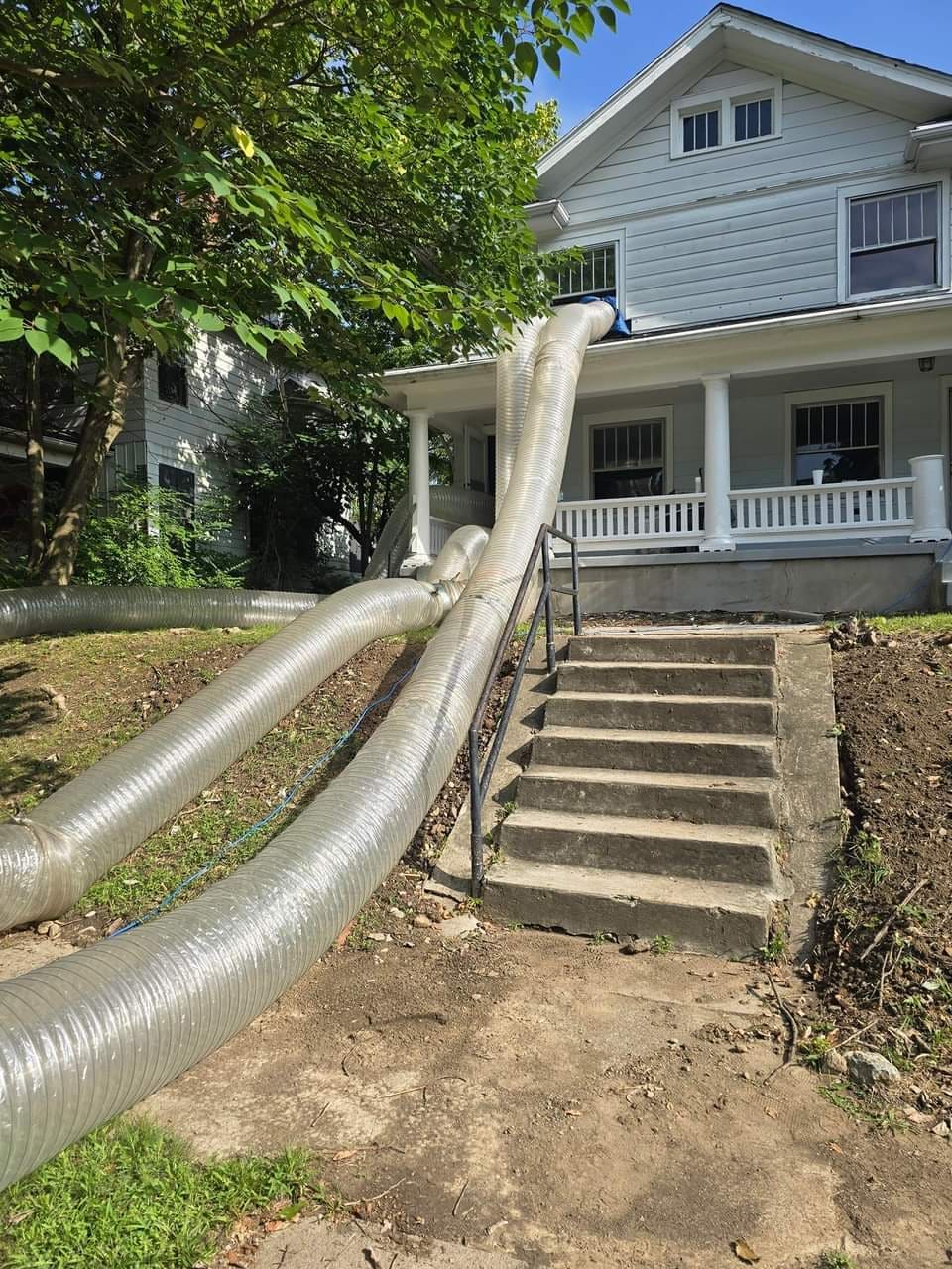 Close view of bed bug treatment tubing in place