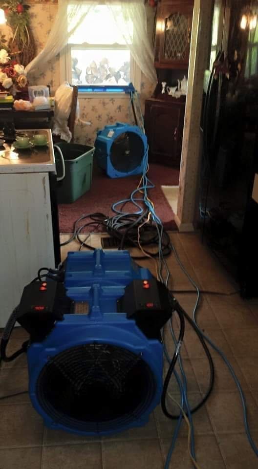 Industrial fans placed at a window for bed bug treatment